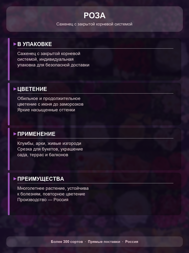 a545278fb605.png