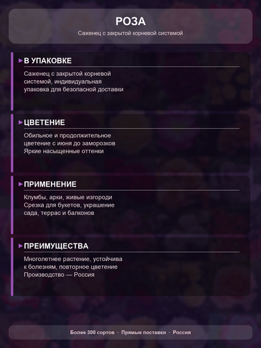 068181ed195e.png