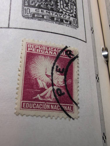 7ca8f04a0c62.jpg