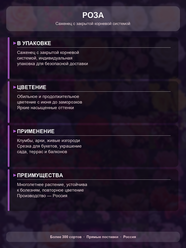 d7613a19f903.png