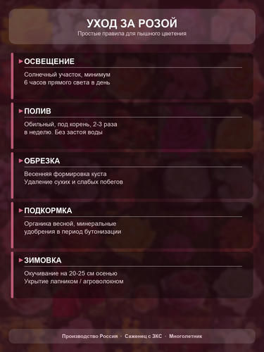 0656cb725a66.png