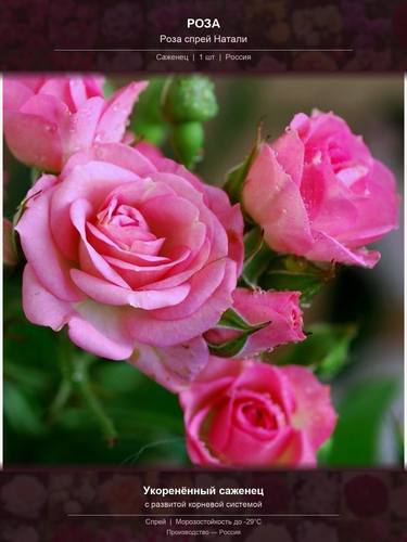 e6273805a536.png