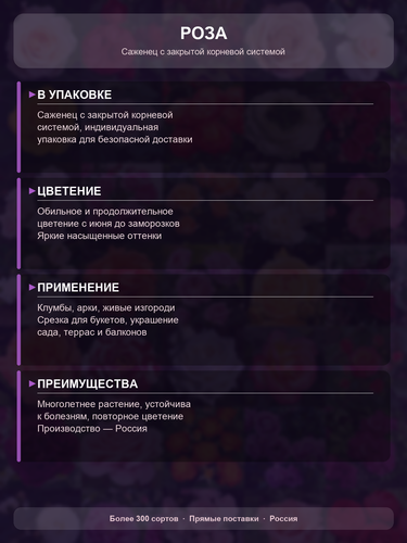 67a648260fa5.png