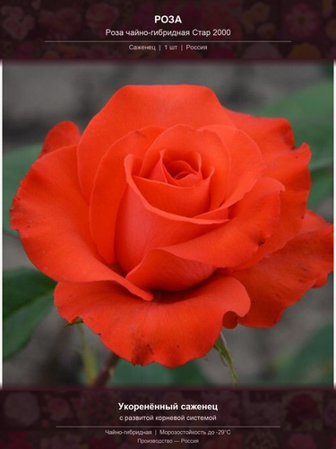 af127b3f96a3.png
