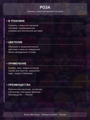 53367d6d1e35.png
