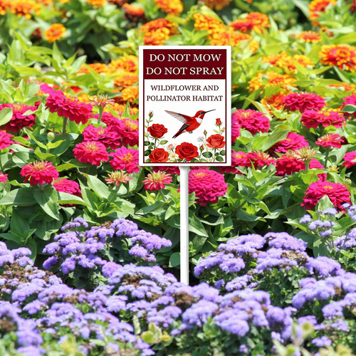 DD2.png