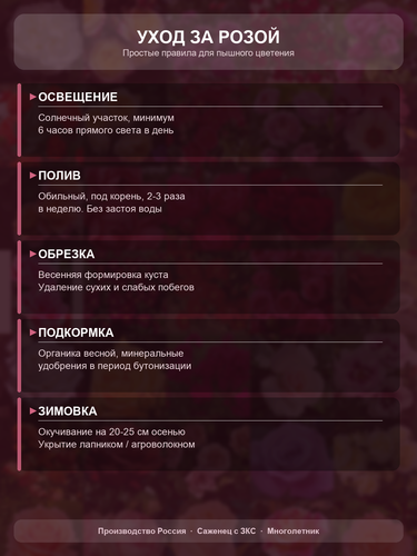 bfe8996d9a64.png