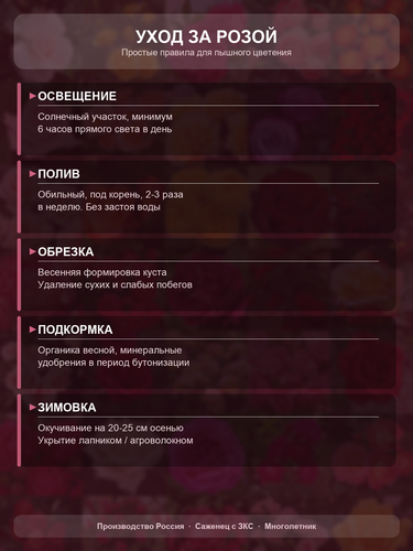 b9a541fb4f9a.png