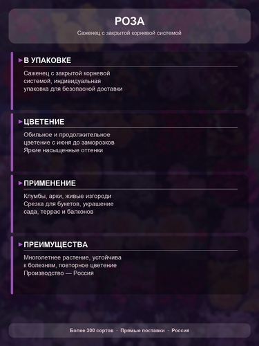 aadf7daad67e.png
