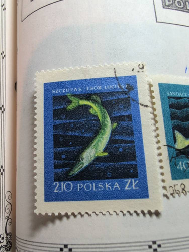 97c1185955da.jpg