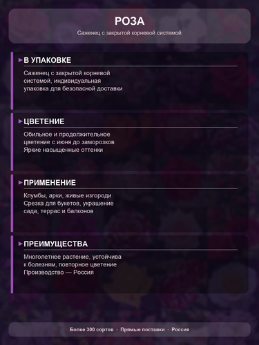 eaca19001427.png