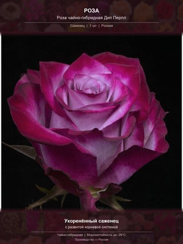 7f9416061b15.png