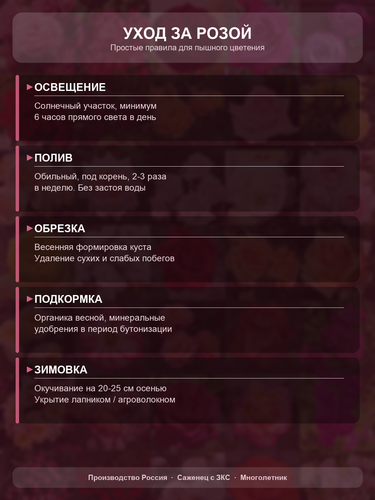 30c83de3e723.png