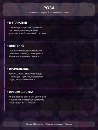 8e20784a6d26.png