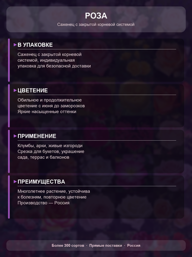 781d3889e81b.png