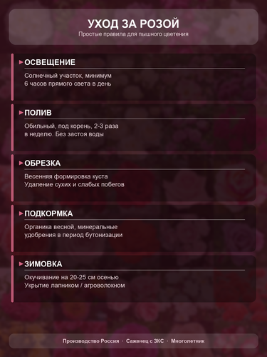d7b0541f79e5.png