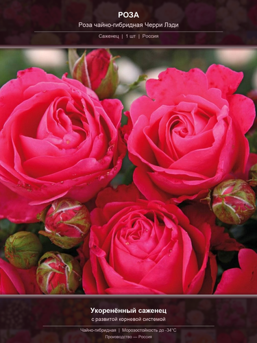ab359434e024.png