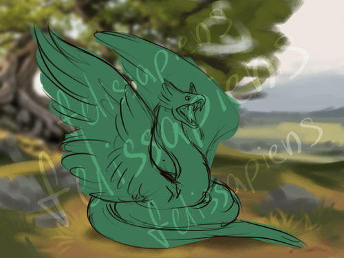 IMG 4262.png