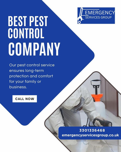 Looking for the Best Pest Control Company to Keep Your Home Pest Free.jpg