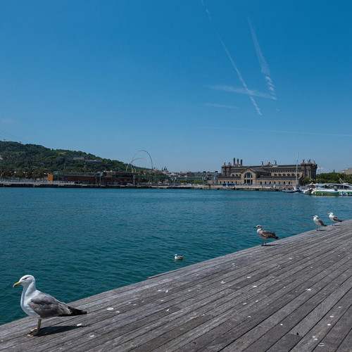 20190714 122153 Bz5aEoLJ62m 07.jpg