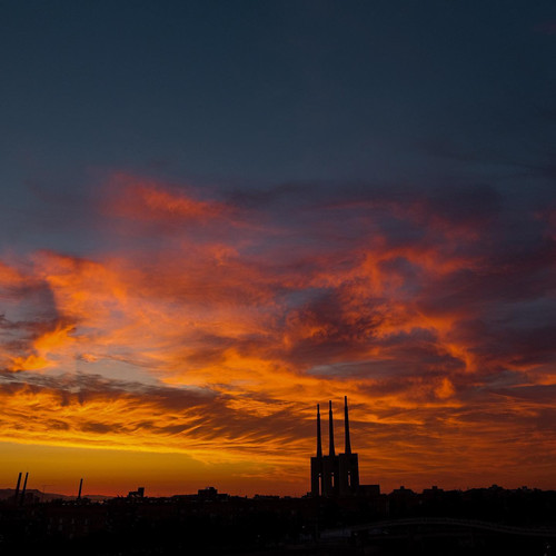 20190714 122153 Bz5aEoLJ62m 10.jpg