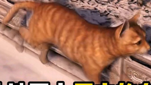 0bc2a825e2ae.jpg