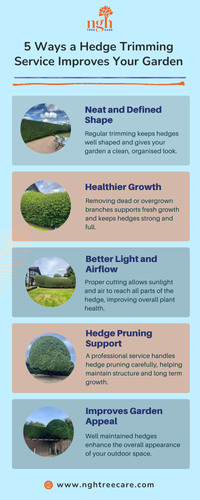 5 Ways a Hedge Trimming Service Improves Your Garden.png