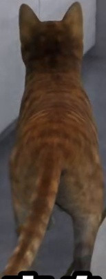 1a2777df850f.jpg