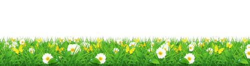 —Pngtree—flowers and green grass 9193920.png