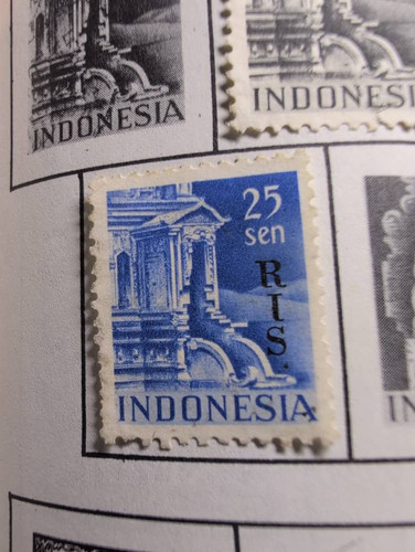 c50946497199.jpg