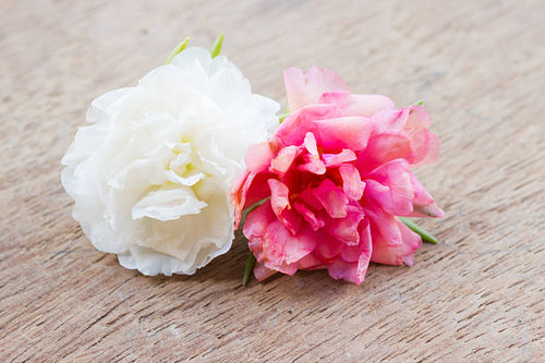 Small flower on wooden background. Portulaca..jpg