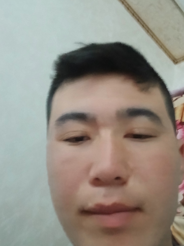 temp.png