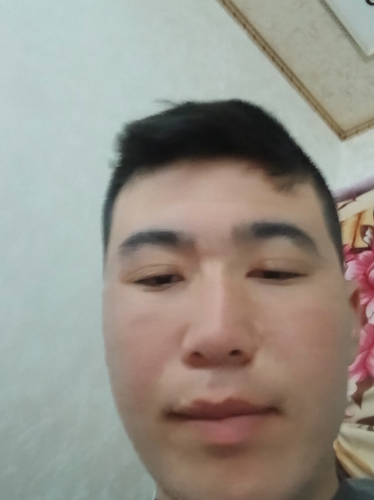 temp.png