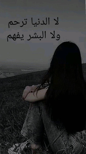 bc6262026bc6.jpg
