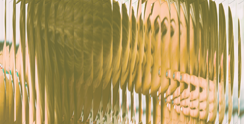 486 (2).png