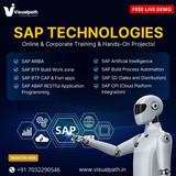 Kickstart a Rewarding SAP Career with Expert Training