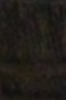 temp.png