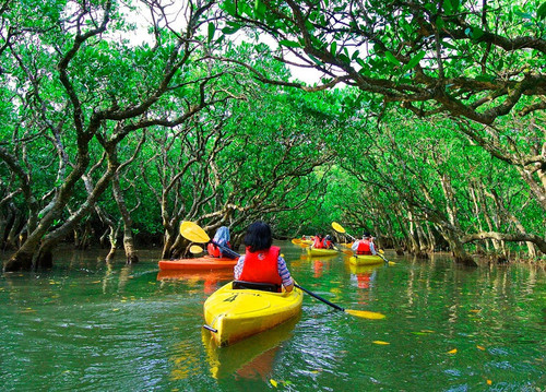 Why Kayaking in Costa Rica is a Must-Try Experience in 2026.jpg