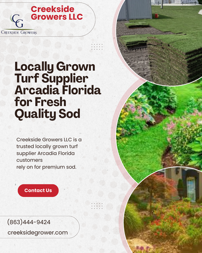 Locally Grown Turf Supplier Arcadia Florida for Fresh Quality Sod.png