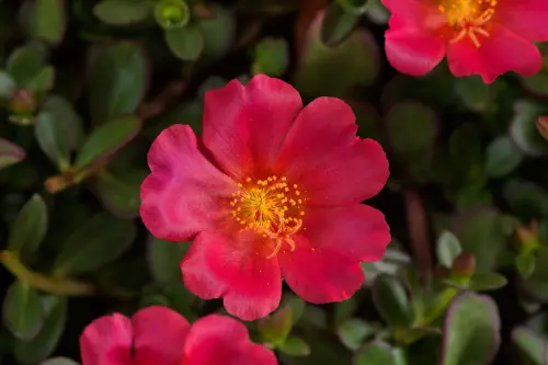 44995 pt 17 14700283 scaled danziger.webp