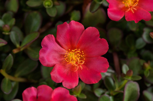 44995 pt 17 14700283 scaled danziger.jpg