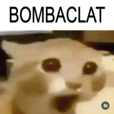 1000260373.jpg