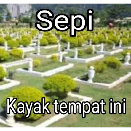 file.webp