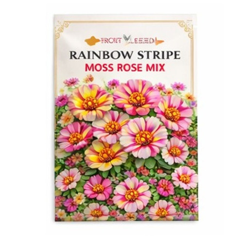 Rainbow Stripe Mix Portulaca 4.jpg