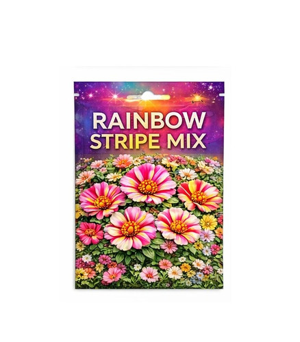Rainbow Stripe Mix Portulaca 18.jpg