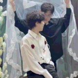 IMB H8HUEI.gif
