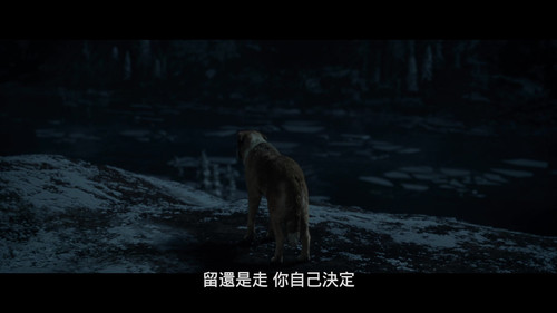 野性的呼唤.The.Call.of.the.Wild.2020.BluRay.1080p.x265.10bit.DTS HD.MA.7.1 UBits CHT 005450.jpg