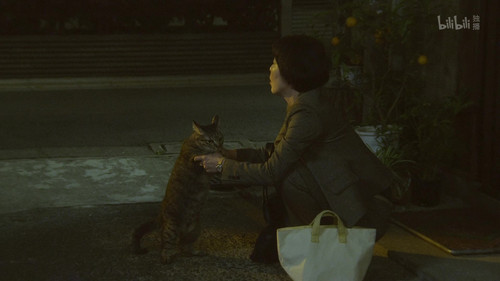 [面包和汤和猫咪好天气].Bread.and.Soup.and.Cat.Weather.2013.Complete.WEB DL.4K.H264.AAC CMCTV 001833.jpg