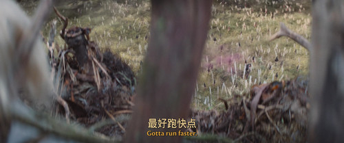 铁血战士：杀戮之地.Predator.Badlands.2025.UHD.BluRay.2160p.x265.10bit.DV.HDR.TrueHD7.1.Atmos.mUHD FRDS 002338.jpg