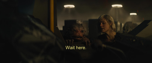 铁血战士：杀戮之地.Predator.Badlands.2025.UHD.BluRay.2160p.x265.10bit.DV.HDR.TrueHD7.1.Atmos.mUHD FRDS ENG 01.jpg